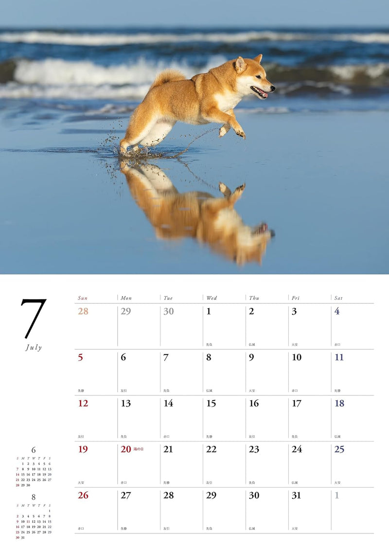 Japanese Shiba Inu Calendar 2026 (Wall Calendar)