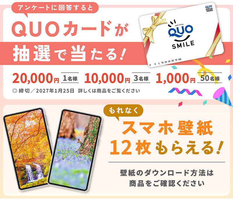 Shashin Koubou Calendar 'Natural Beatury in Japanese Forests' 2027 Wall Calendar (with Transparent Holder)
