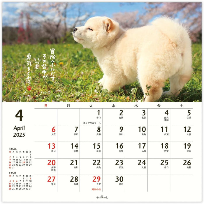 Hallmark 2025 Wall Calendar Homewanko Large 834-623