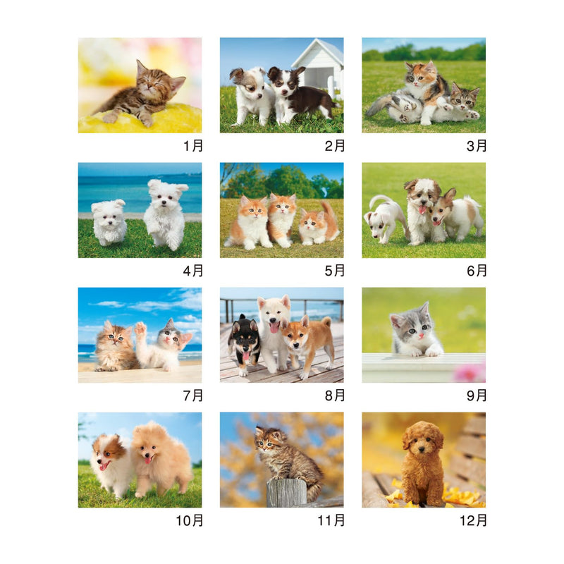 New Japan Calendar 2027 Wall Calendar My Pet NK109