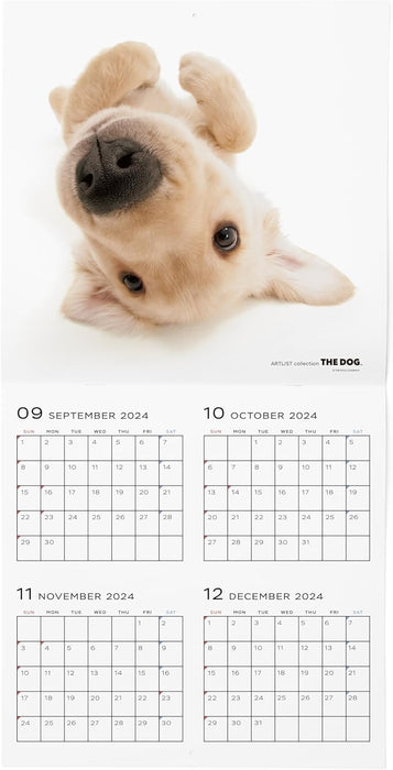 THE DOG 2025 Wall Calendar Large Size [Golden Retriever]