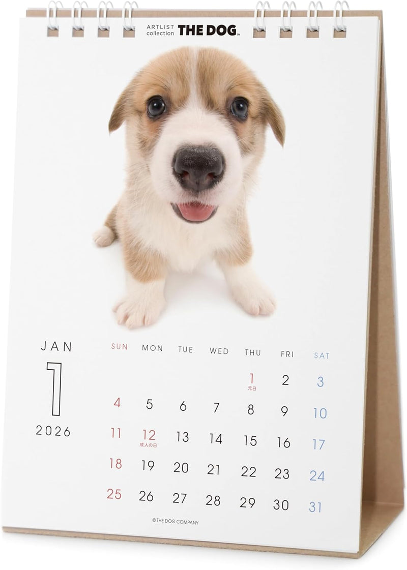 THE DOG 2026 Desk Calendar [Welsh Corgi]
