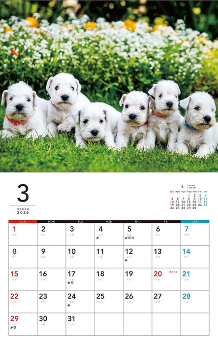 Yochi Yochi Koinu Calendar 2026 (Monthly/Wall Calendar)
