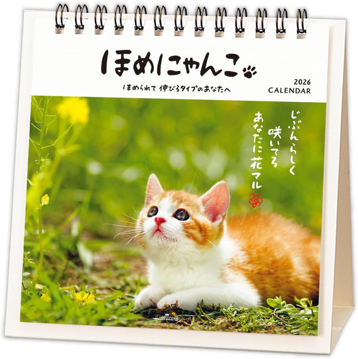 Hallmark 2026 Desk Calendar Homenyanko 845551