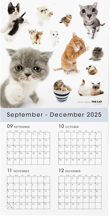 THE CAT 2026 Wall Calendar Large Size [All Stars]