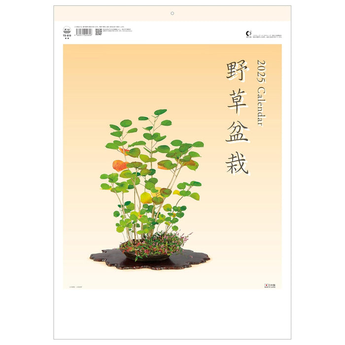 Todan 2025 Wall Calendar Wildflower Bonsai 53.5 x 38cm TD-819