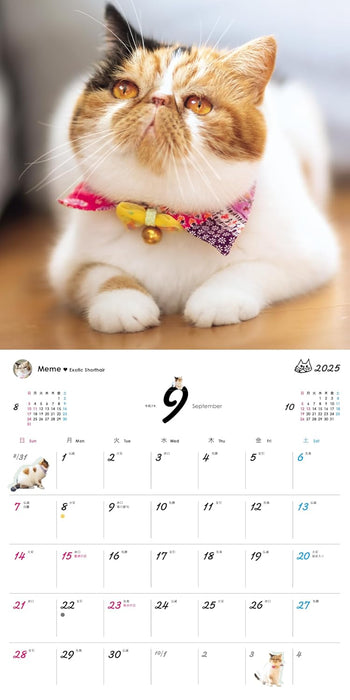 Orange Page Uchi no Nyanko. 2025 Wall Calendar