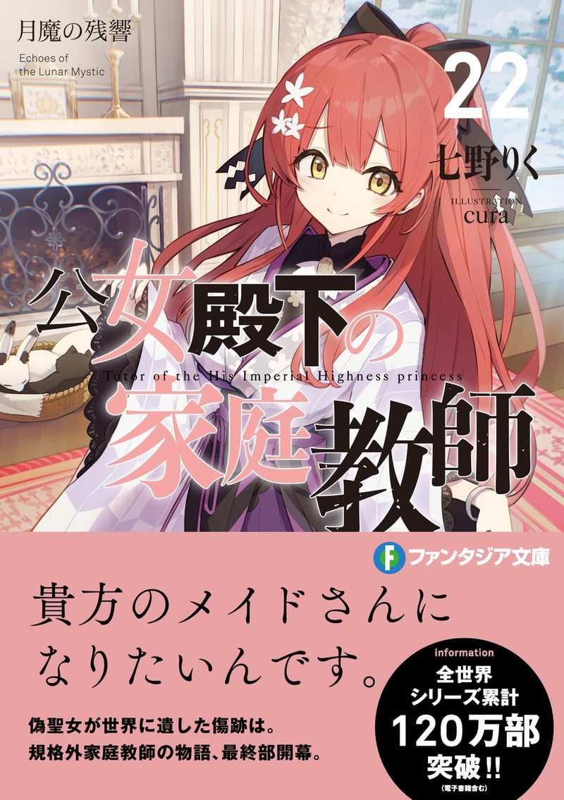 Koujo Denka no Kateikyoushi 22 (Light Novel)