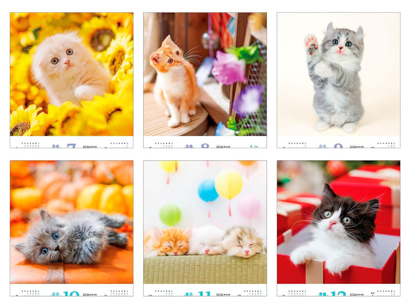 Calendar 2026 Fukufuku Koneko (Monthly/Wall Calendar) (Impress Calendar 2026)