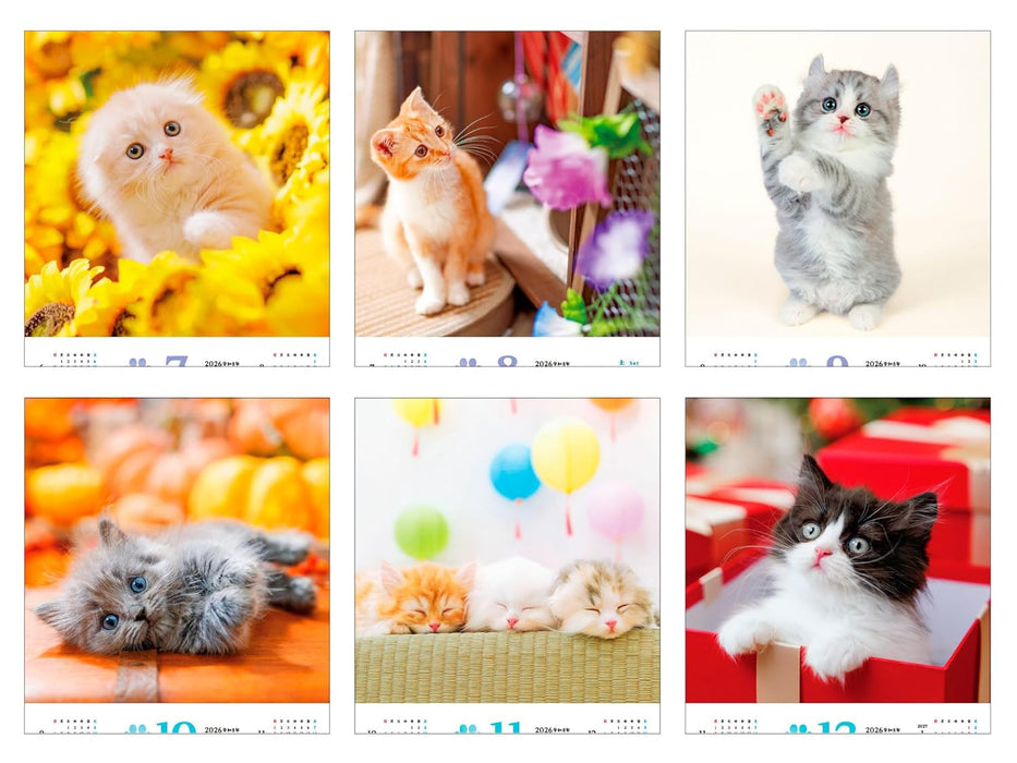 Calendar 2026 Fukufuku Koneko (Monthly/Wall Calendar) (Impress Calendar 2026)