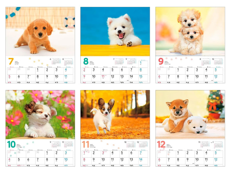 Calendar 2026 Mofu Mofu Koinu (Monthly/Wall Calendar) (Impress Calendar 2026)