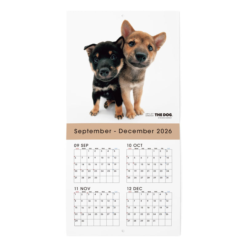 THE DOG 2027 Wall Calendar Mini Size [Shiba]