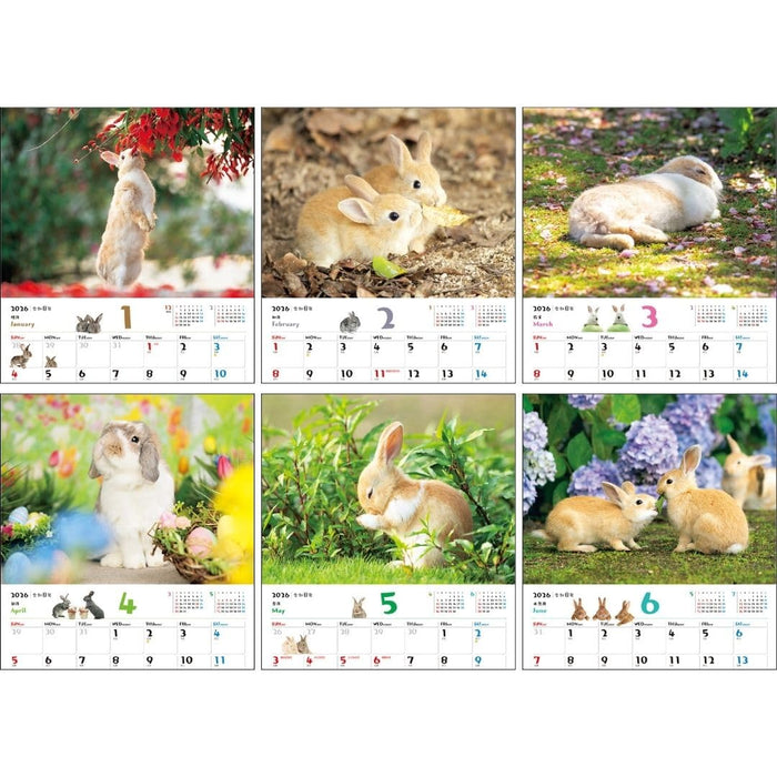 JTB Calendar Fuwa Fuwa Usagi 2026 Wall Calendar