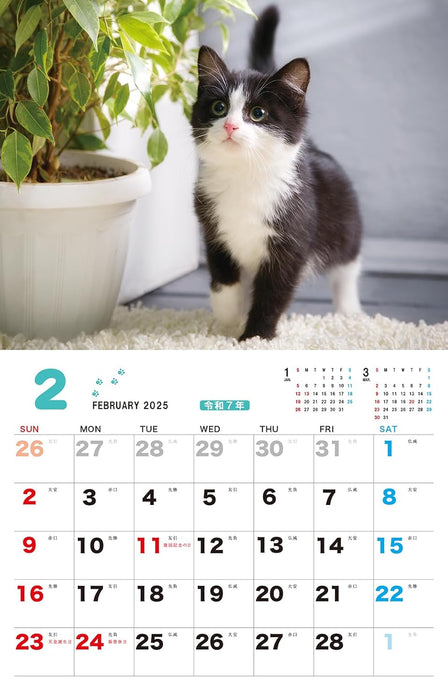 Fuwamofu Koneko. CALENDAR 2025