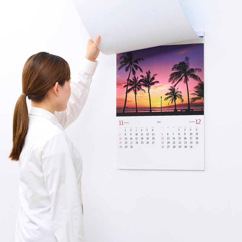 New Japan Calendar 2027 Wall Calendar The Paradose 610x425mm NK113