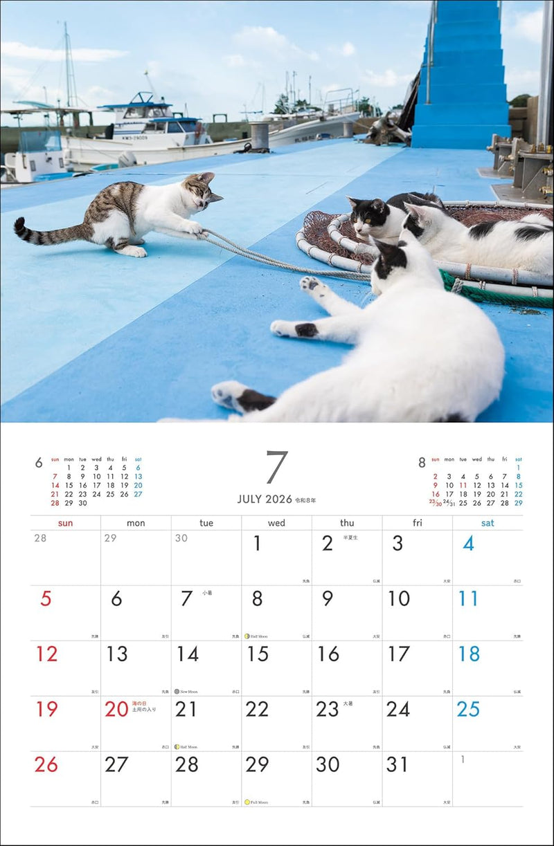 Masayuki Oki Playful and Free-Spirited Island Cat Calendar 2026 (Monthly/Wall Calendar)