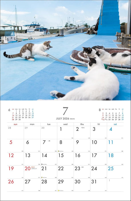 Masayuki Oki Playful and Free-Spirited Island Cat Calendar 2026 (Monthly/Wall Calendar)