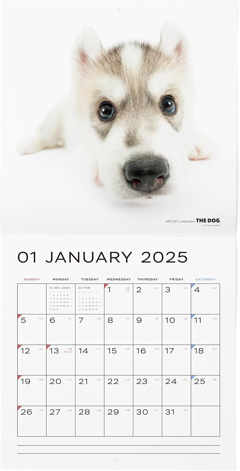 THE DOG 2025 Wall Calendar Large Size [Siberian Husky]