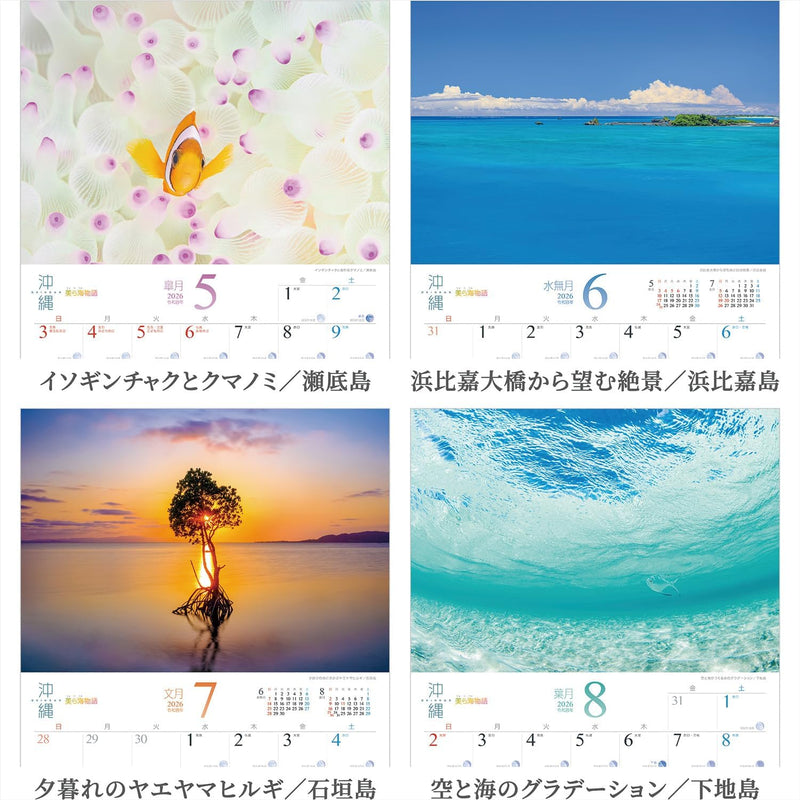 Shashin Koubou Calendar 'Okinawa Churaumi Monogatari' 2026 Wall Calendar (with Transparent Holder)