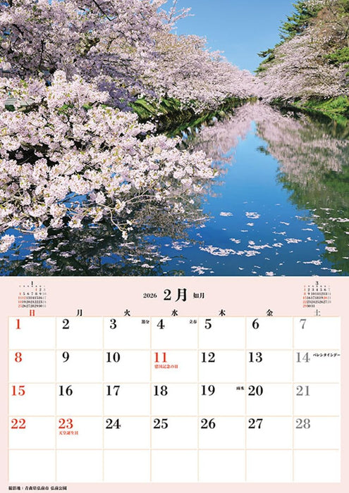 Try-X Jumbo 'Cherry Blossoms of Japan' Schedule 2026 Wall Calendar CL-471 B2