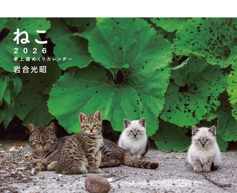 Mitsuaki Iwago Cat Desk Weekly Tear-Off Calendar 2026