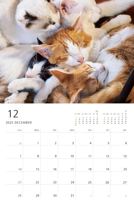 Mitsuaki Iwago Cat Wall Calendar 2025