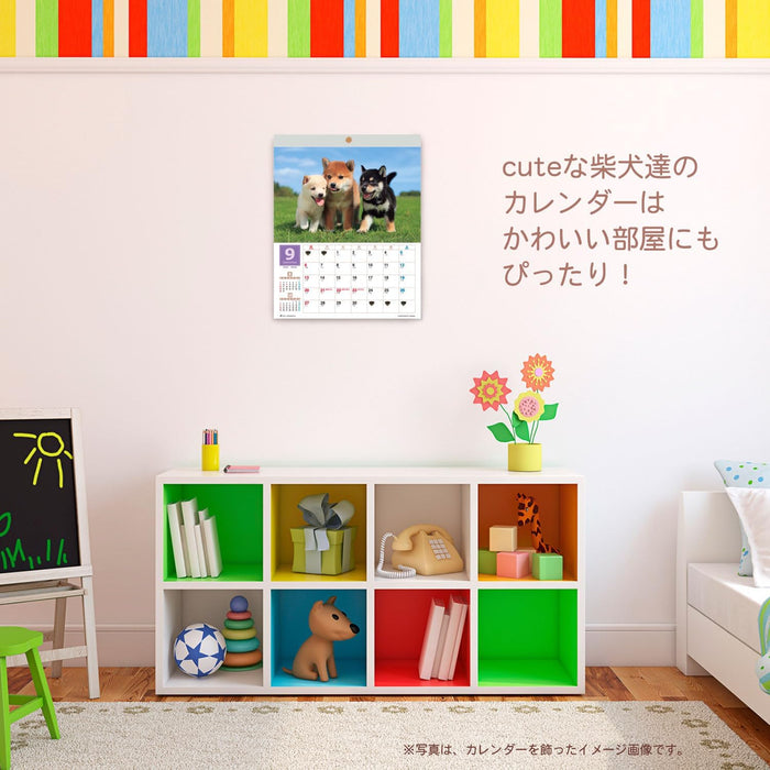 Active Corporation 2026 Wall Calendar Yoneo Morita Marugoto Shibainu 26ACL-11