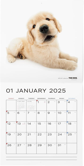 THE DOG 2025 Wall Calendar Large Size [Golden Retriever]