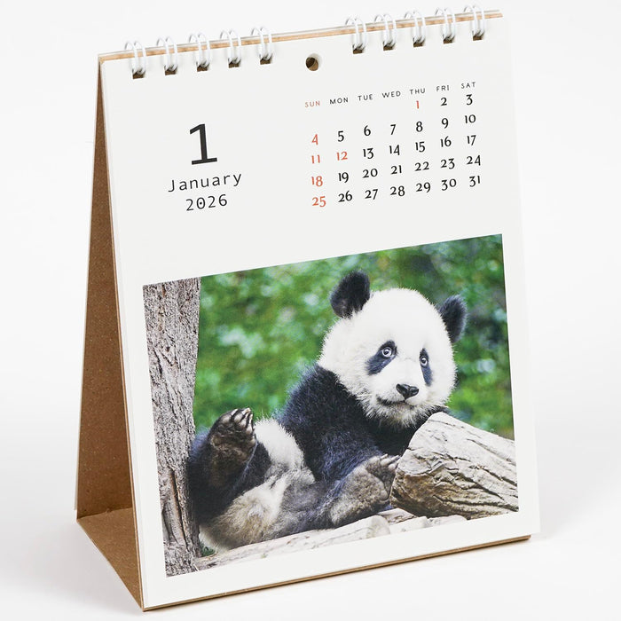 Greeting Life 2026 Desk Calendar Panda C-1689-PA