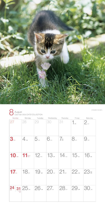 2025 Calendar Cats Collection