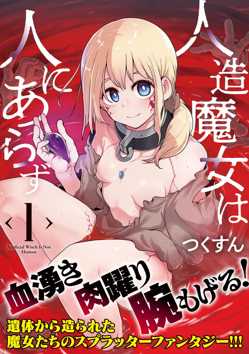 Jinzou Majo wa Hito ni Arazu 1