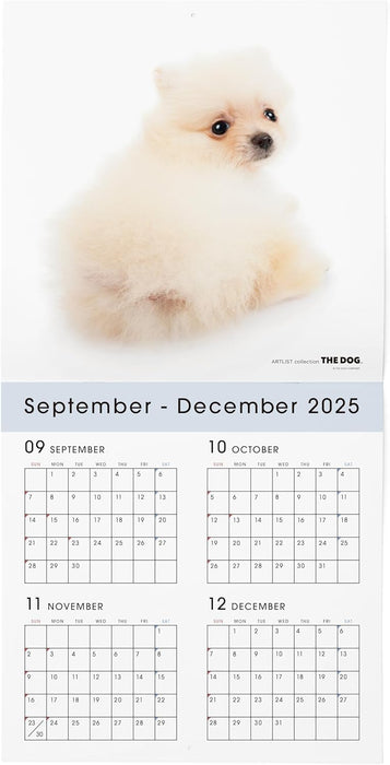 THE DOG 2026 Wall Calendar Large Size [Pomeranian]