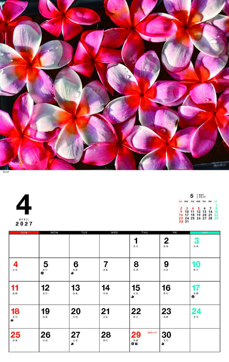 Ryujin Hawaii Calendar 2027