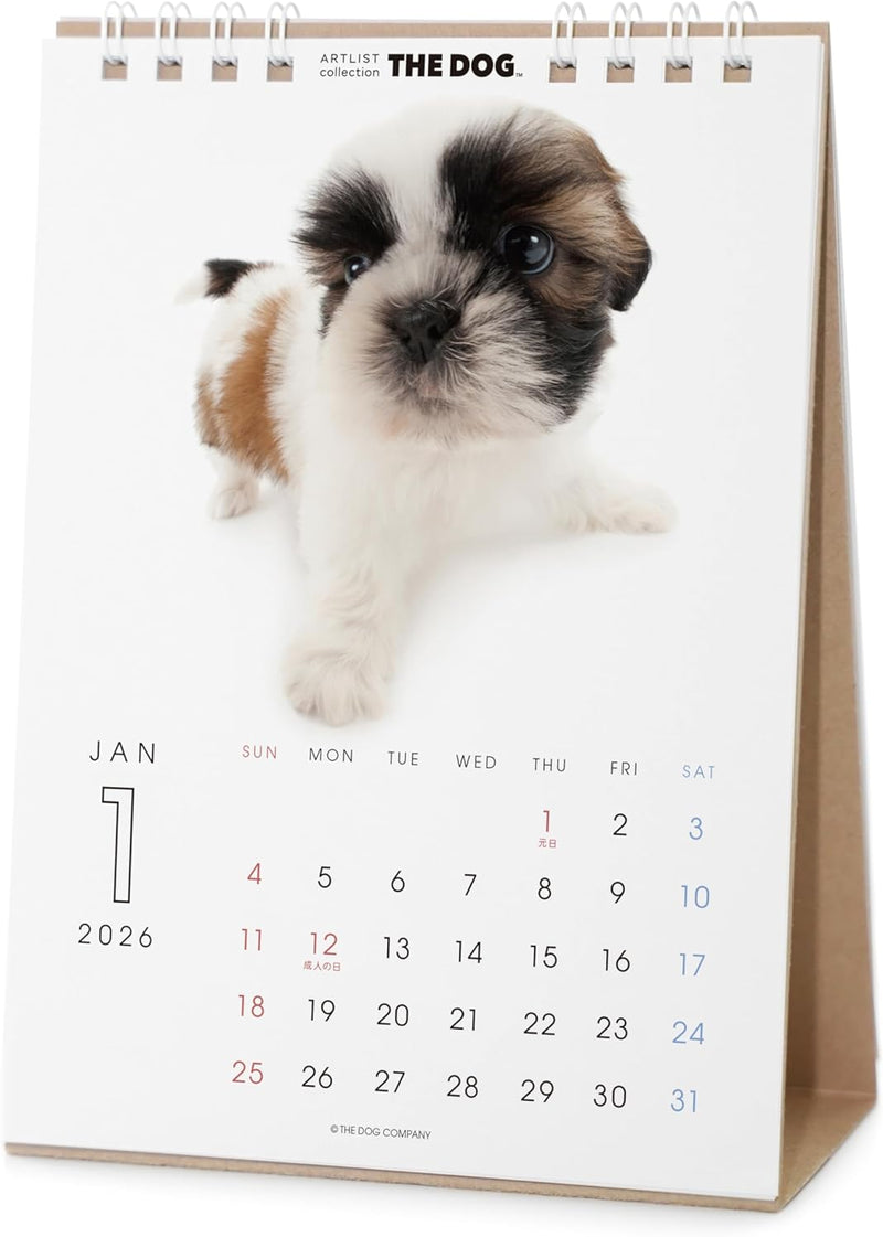 THE DOG 2026 Desk Calendar [Shih Tzu]