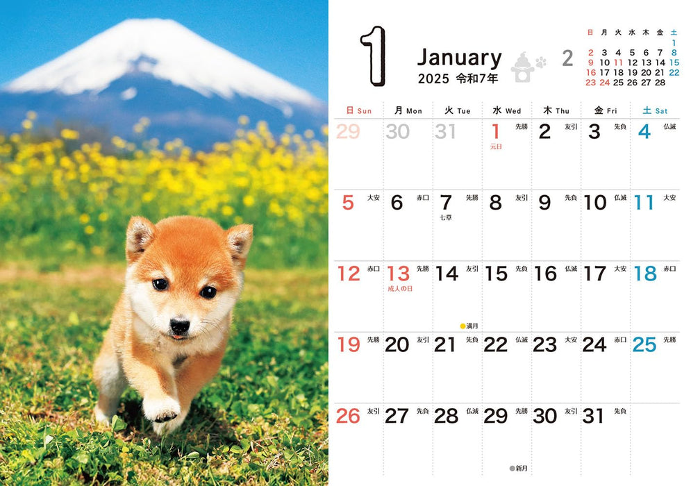 Shiba Inu Biyori mini 2025 Calendar (Impress Calendar 2025)