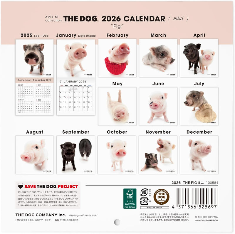 THE PIG 2026 Wall Calendar Mini Size [Pig]