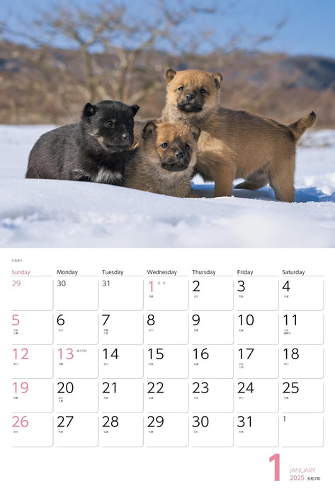 Calendar 2025 Dogs (Monthly/Wall Calendar) (Yama-kei Calendar 2025)