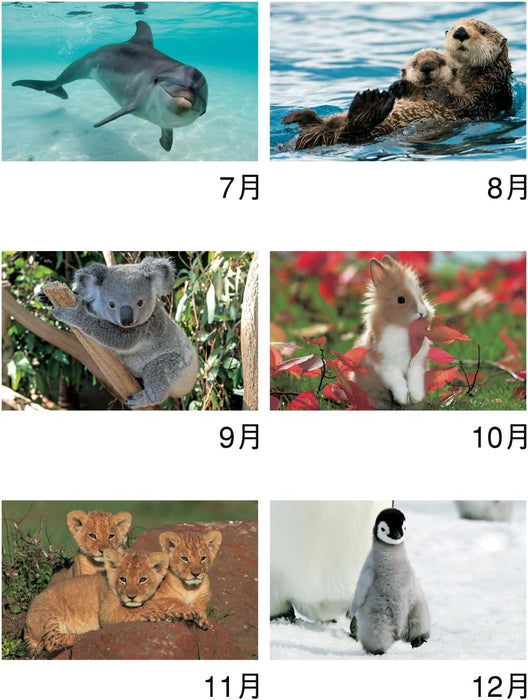 New Japan Calendar 2025 Wall Calendar Animals NK104