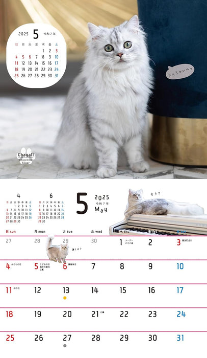 Orange Page Neko Nagomi. Desk Calendar 2025