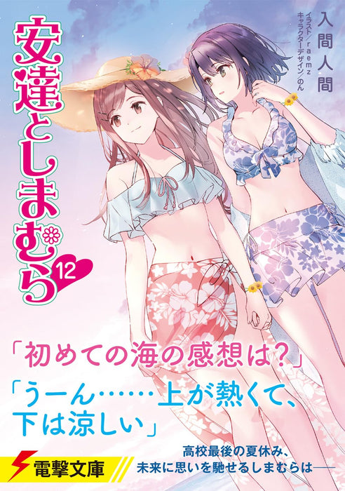 Adachi and Shimamura 12 (Light Novel)