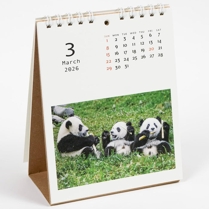 Greeting Life 2026 Desk Calendar Panda C-1689-PA