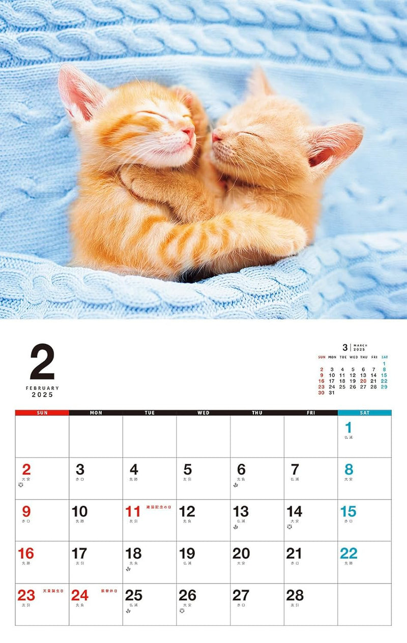 Kittens Calenddar 2025 (Monthly/Wall Calendar)