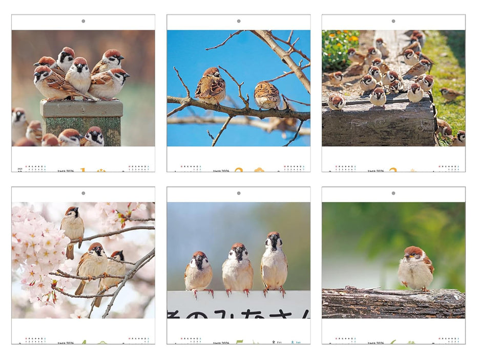 Suzume Gurashi Calendar 2026 (Impress Calendar 2026)