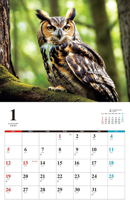 OWL Calendar 2025 (Monthly/Wall Calendar)