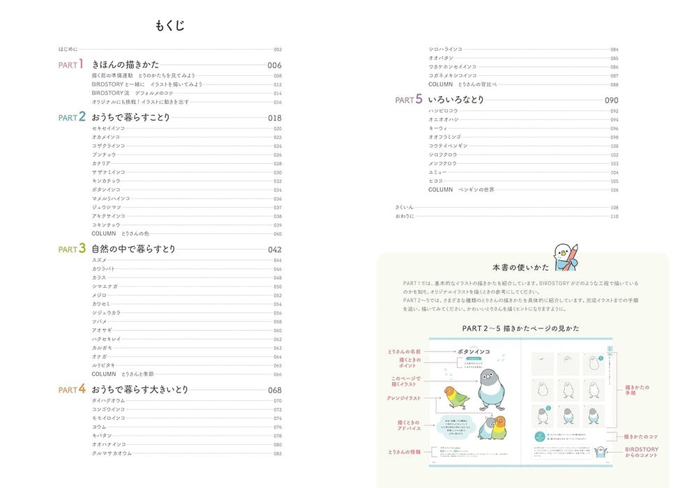 BIRDSTORY's Guide to Drawing Cute Birds