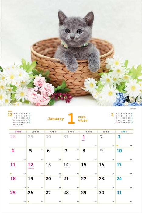 Too Cute Cat Calendar 2026