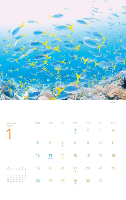 Calendar 2025 The Happiest Sea: The Most Beautiful Ocean in the World (Monthly/Wall Calendar) (Yama-kei Calendar 2025)