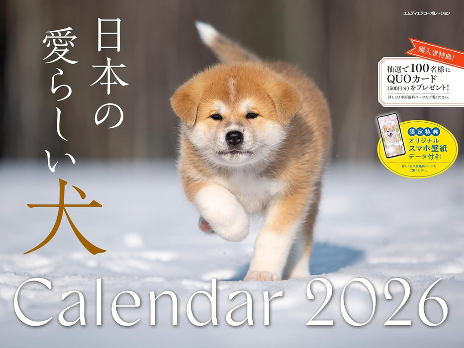 Adorable Dogs of Japan Calendar 2026 (Montly/Wall Calendar/Large)
