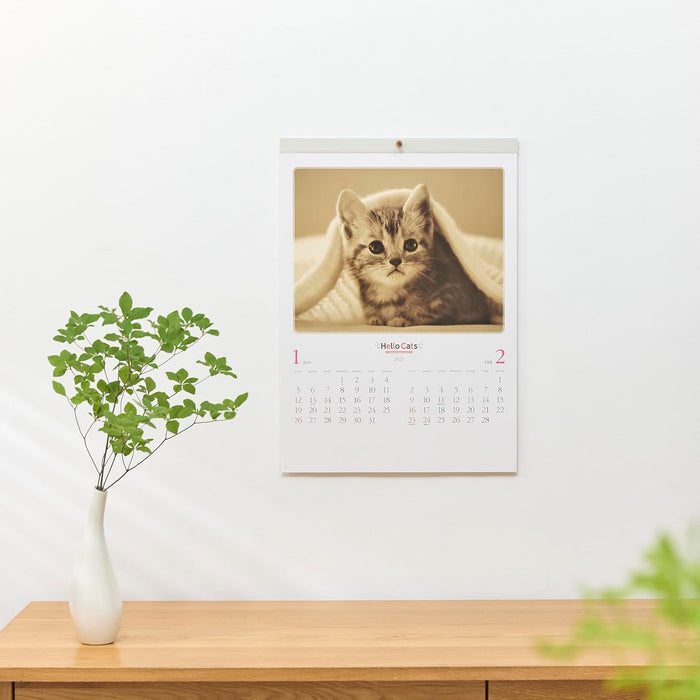 New Japan Calendar 2025 Wall Calendar Hello Cats NK27