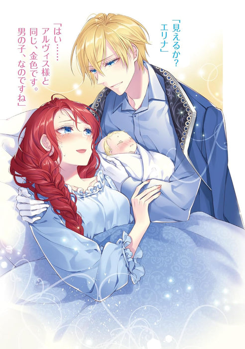 Rubelia Oukoku Monogatari 9 - Itoko no Shirinugui wo Saserareru Hame ni Natta - (Light Novel)